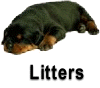 Litters