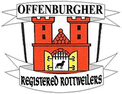 Offenburgher Registered Rottweilers