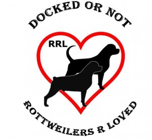 FB_IMG_1485720132057