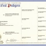 Harley's pedigree certified pedigree